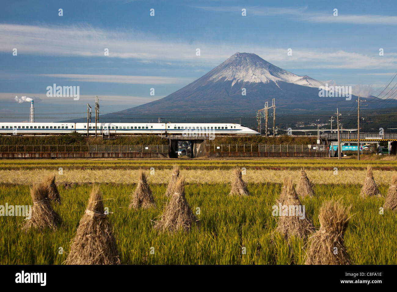 Japón, Noviembre, Asia, Fuji, la ciudad, el monte Fuji, tren de alta velocidad, el Shinkansen, el paisaje, la agricultura, el campo de arroz, cultivo de ric Foto de stock