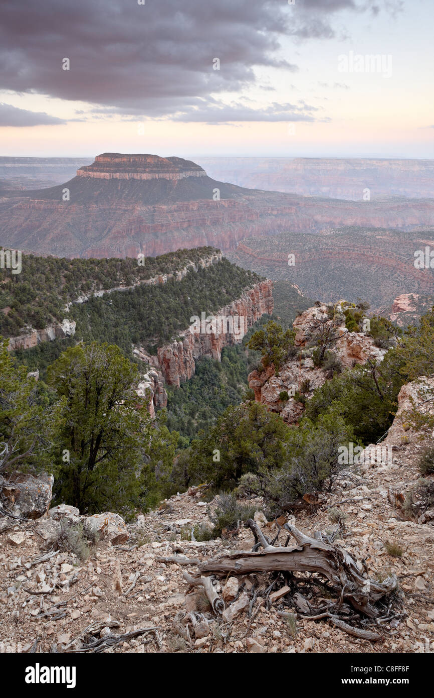 Steamboat Mountain en amanecer desde el punto de cerco, North Rim, Grand Canyon, Kaibab National Forest, Arizona, Estados Unidos de América Foto de stock