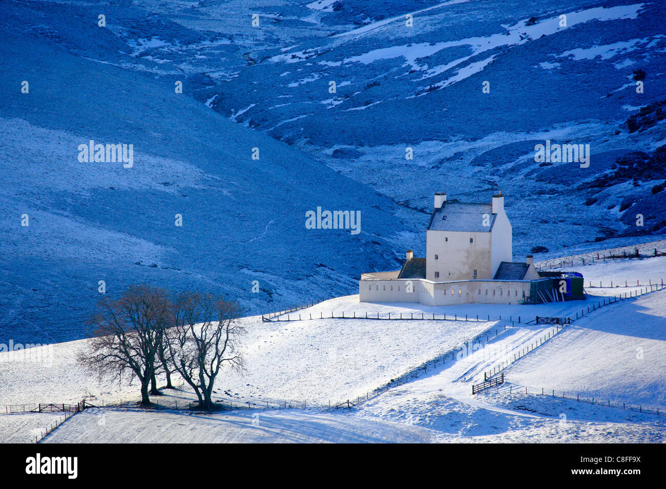 Árbol, grupo de árboles, castillo, árboles, Cairngorms, Corgarff, Corgarff Castle, fortaleza, sky, parque nacional, Parque, castillo, nieve, SC Foto de stock