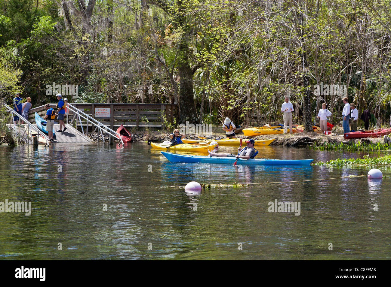 Los palistas en Río de Plata tómese un descanso en la rampa dentro de Silver River State Park en Ocala Florida Foto de stock