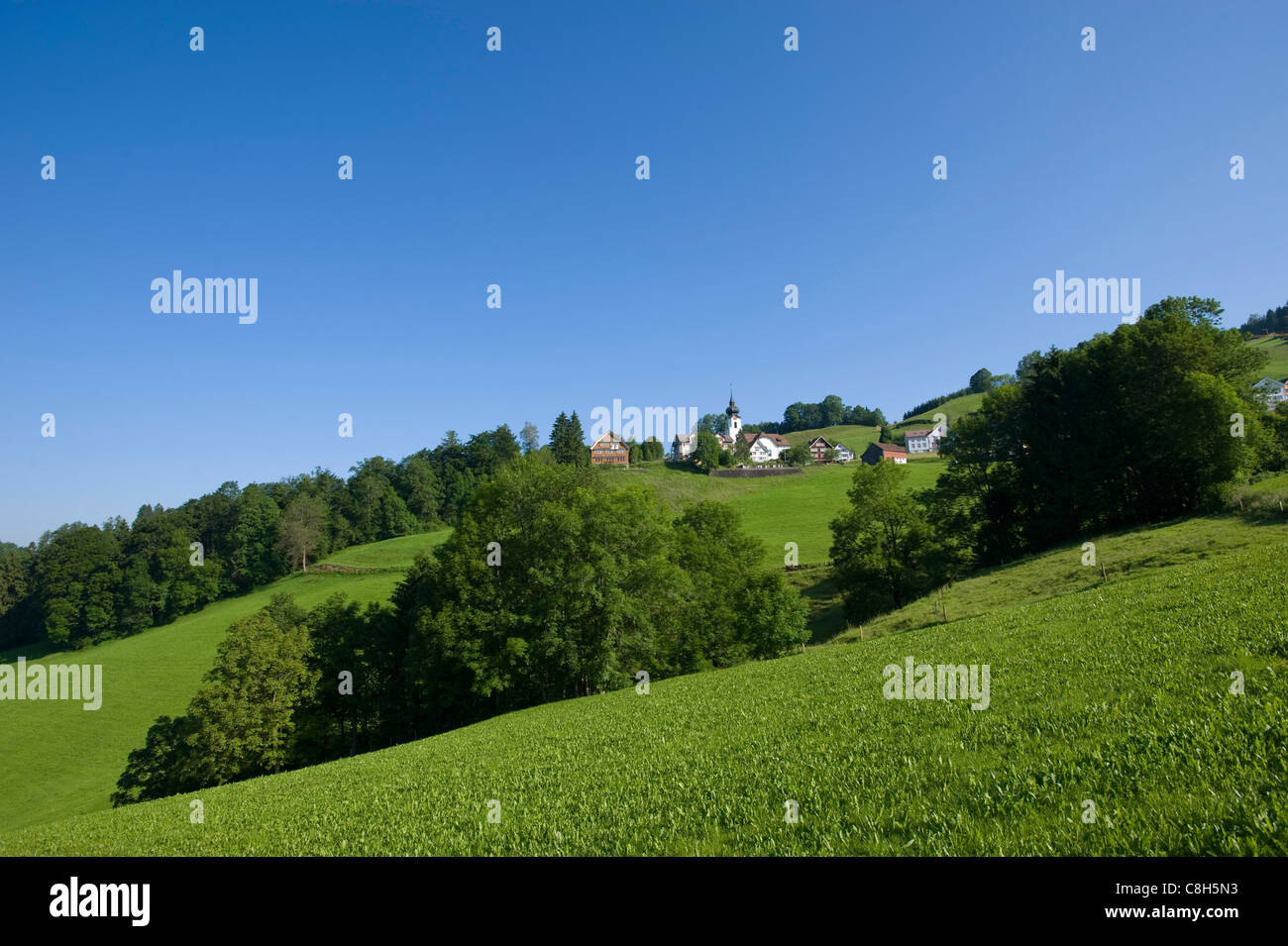 Suiza, Europa, Appenzell, praderas, montañas, house, la casa, el paisaje, el campo, los campos, la agricultura, la Suiza Oriental, verano Foto de stock