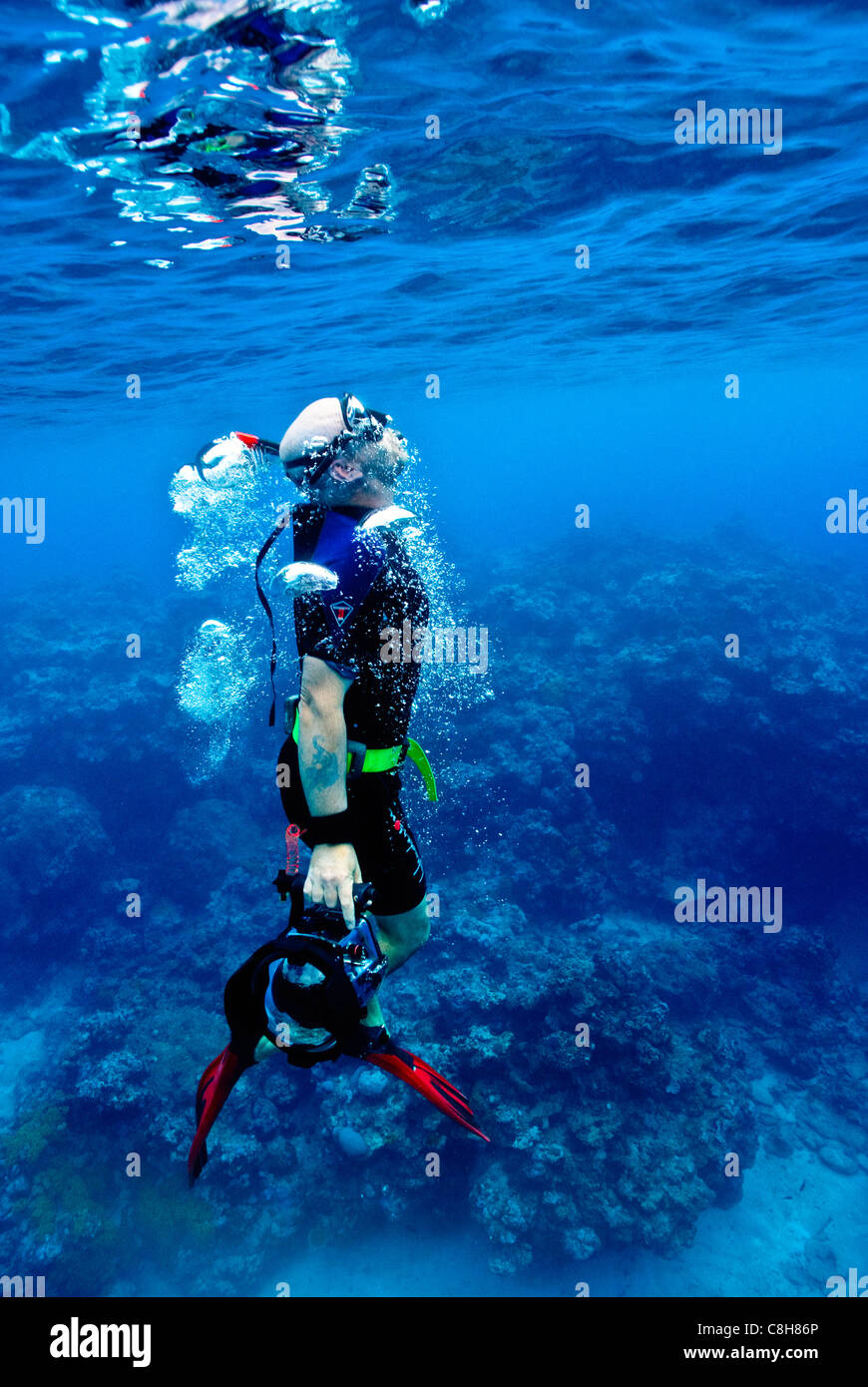 Un buceador libre exhala a través de su snorkel como él las superficies de las profundidades. Foto de stock