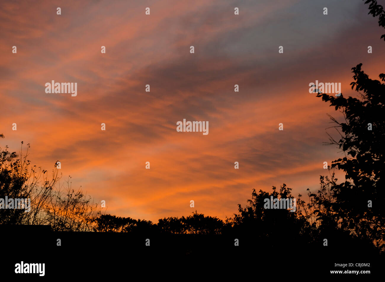 Amanecer otoñal, en el norte de Alemania Octubre 2011 Foto de stock