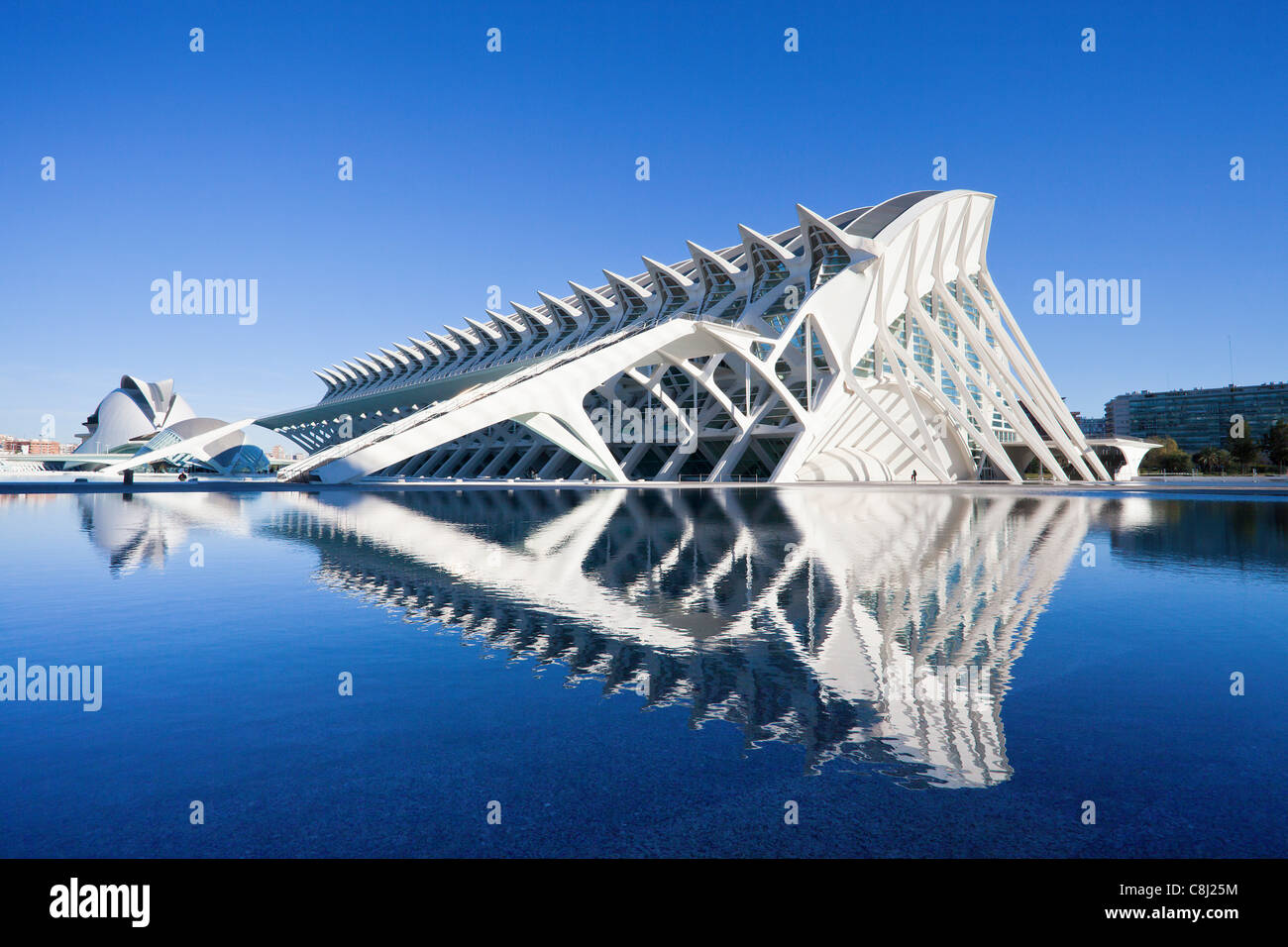 España, Europa, Valencia, Ciudad de las Artes y las Ciencias, Calatrava, la arquitectura moderna, el agua Foto de stock