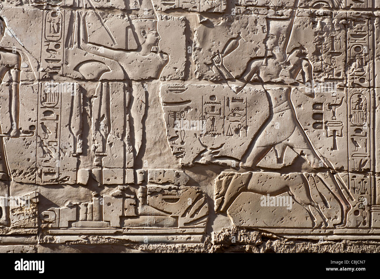 La labor de socorro mostrando el rey Seti y la raza de toro Apis en el templo de Karnak, Luxor, Egipto Foto de stock