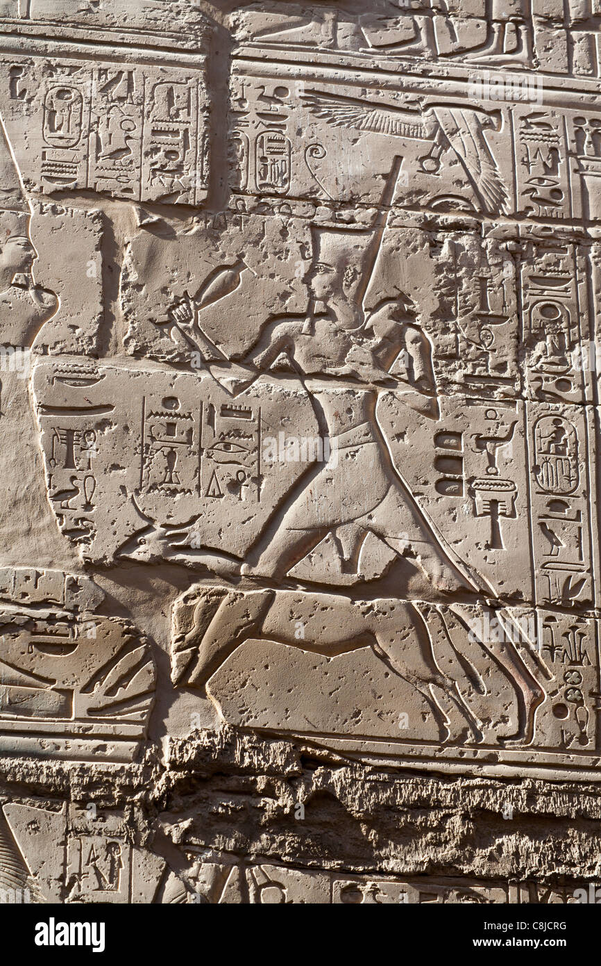 La labor de socorro mostrando el rey Seti y la raza de toro Apis en el templo de Karnak, Luxor, Egipto Foto de stock
