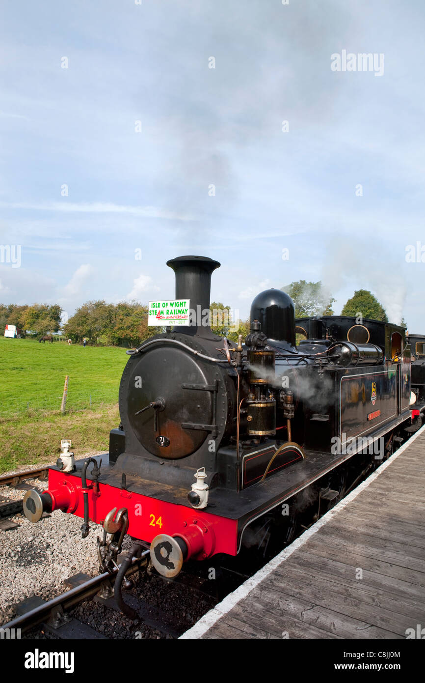 En la Isla de Wight, un tren de vapor, Foto de stock