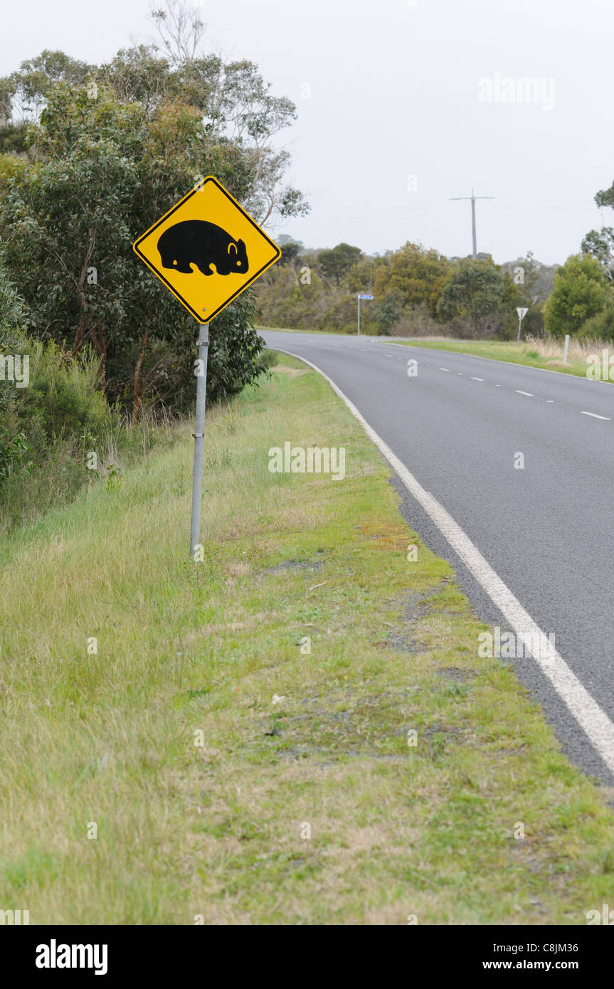 Señal de carretera Wombat Fotografiado en el sur de Australia Foto de stock