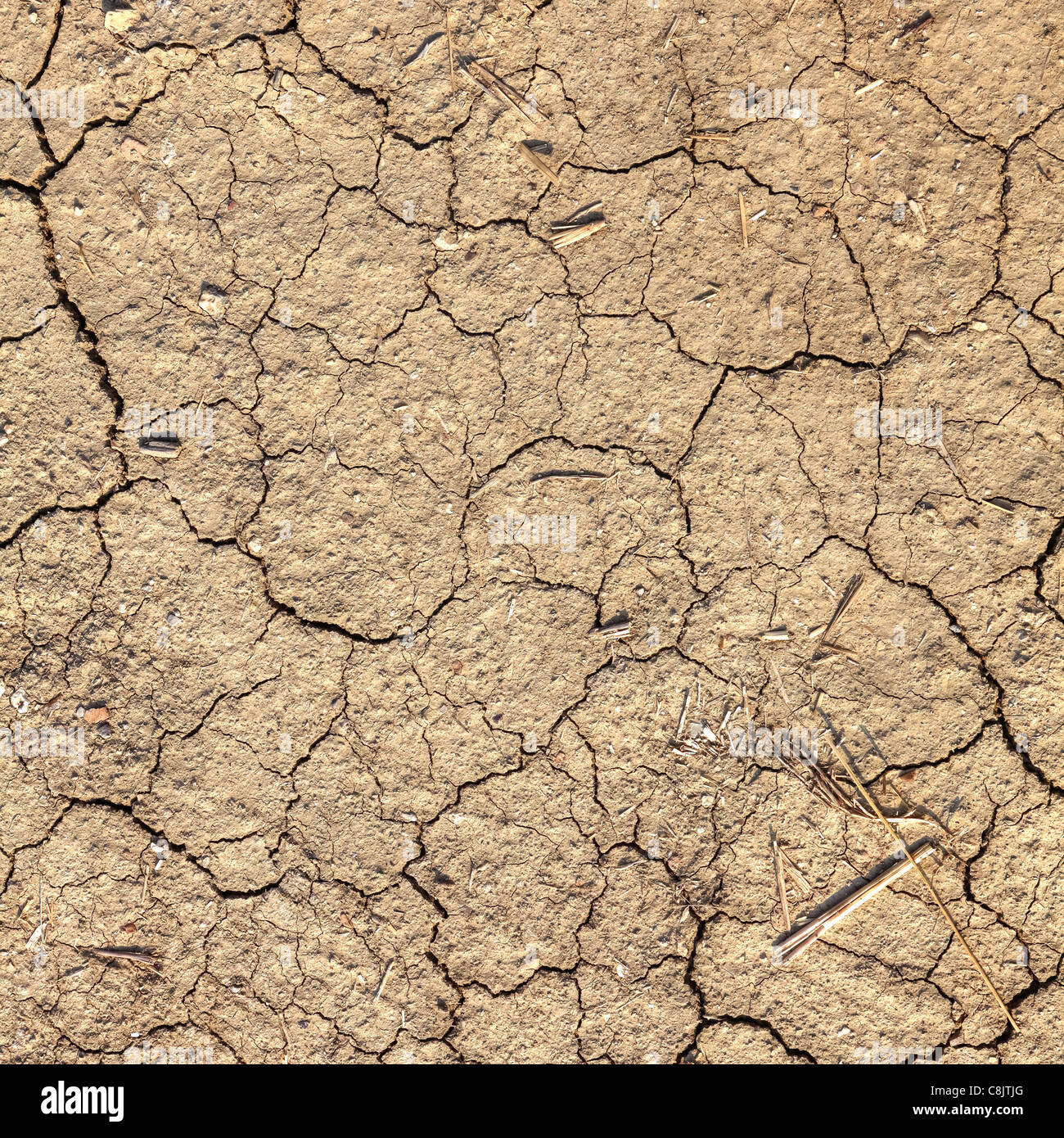 El suelo seco en la Toscana después de un largo verano sin lluvia Foto de stock
