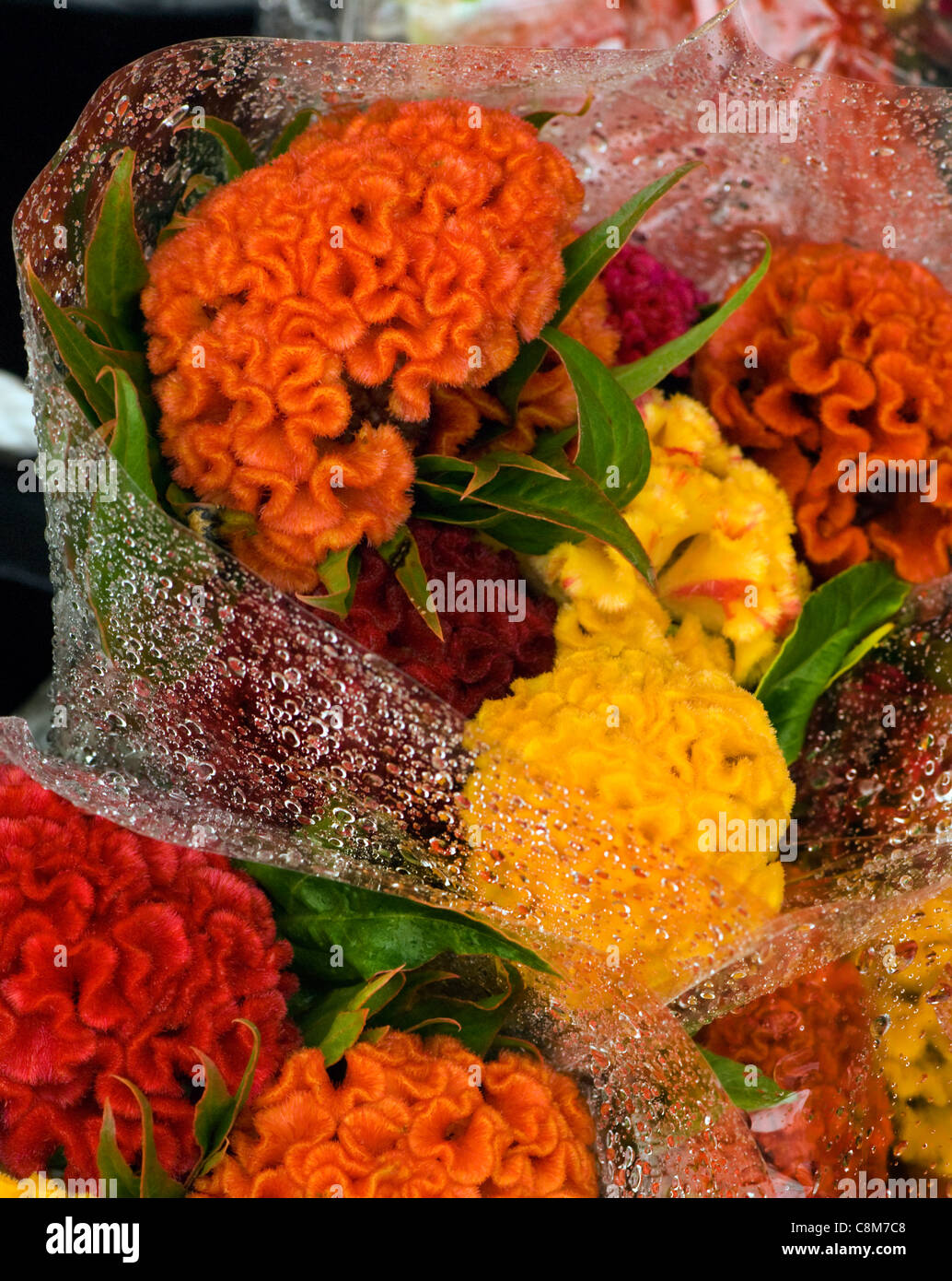 Flores envueltas en plástico para venta en un mercado local de agricultores  en Chicago Fotografía de stock - Alamy