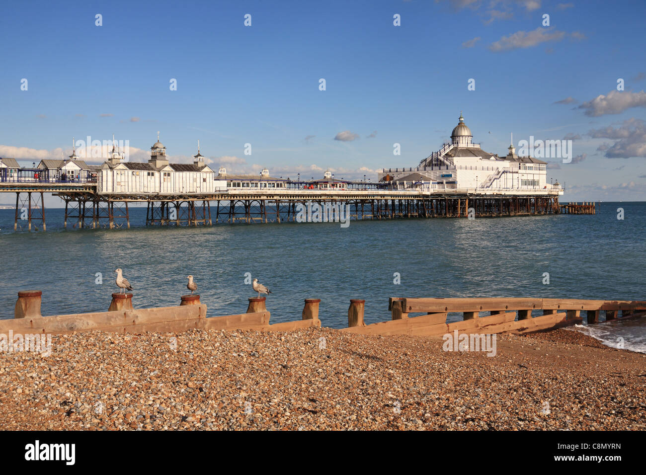 Tres gaviotas sentada sobre pilotes en frente del muelle de Eastbourne, East Sussex, Inglaterra, Reino Unido. Foto de stock