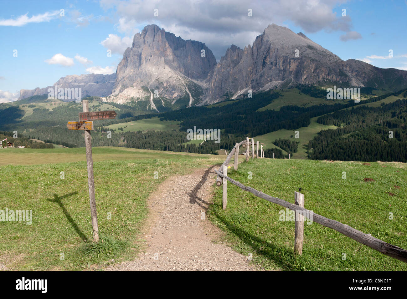 Italia, Trentino-Alto Adigio, Alpe di Siusi (Seiseralm), ruta de senderismo alrededor de Compatsch firmado Foto de stock