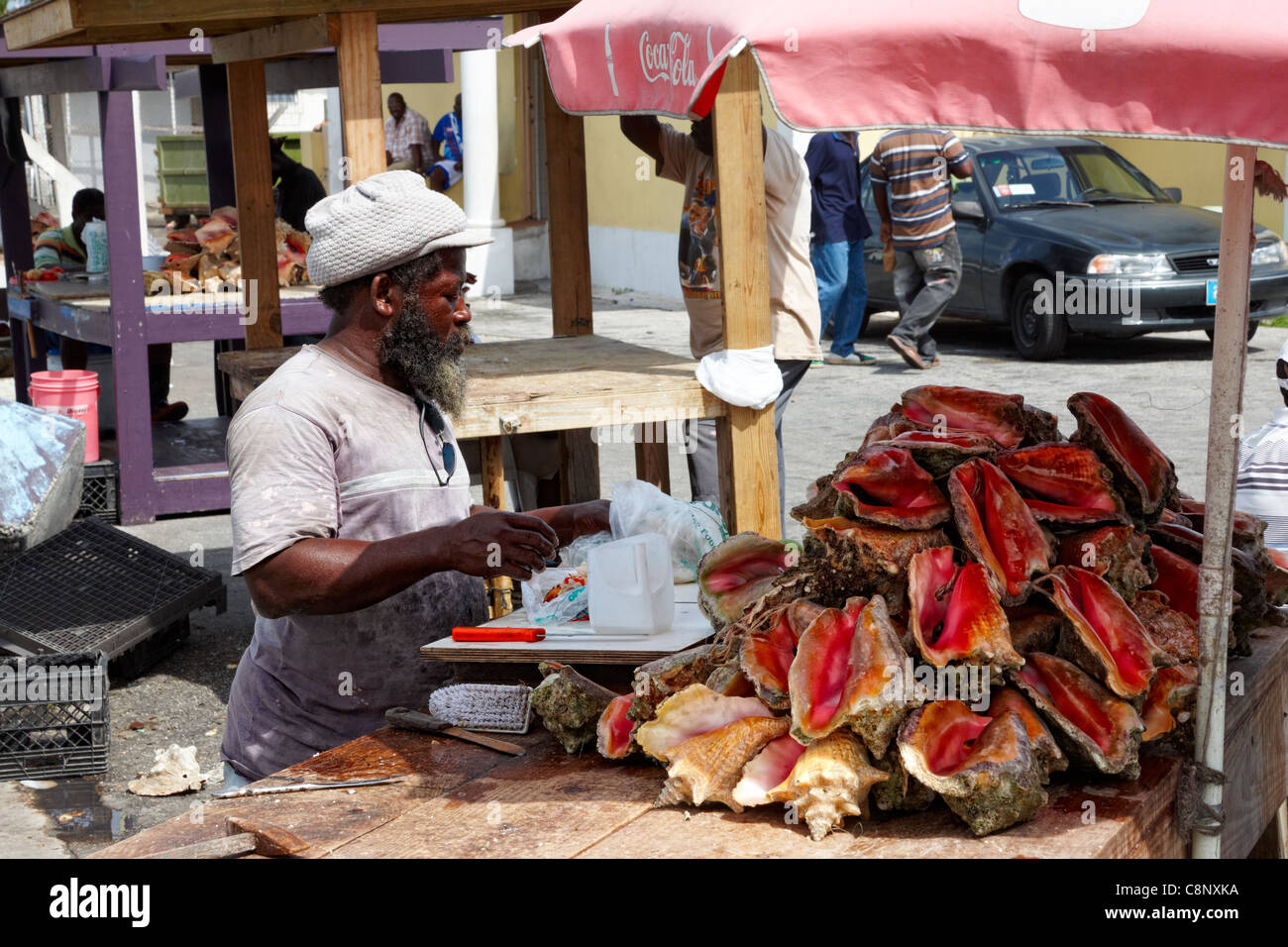 Hombre vendiendo concha fresca, alfareros Cay, Nassau, en la isla de Nueva Providencia, Bahamas, Caribe Foto de stock