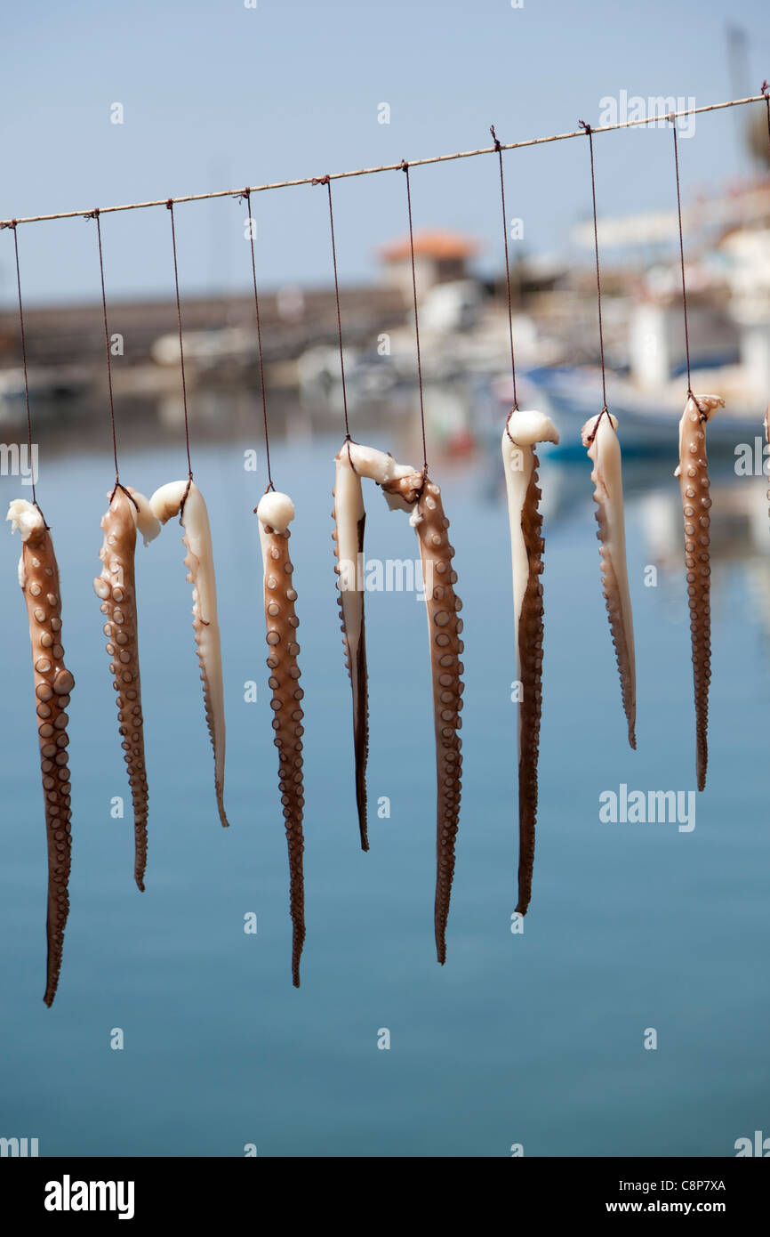 Secar el pulpo en el puerto de Mithymna, Lesbos, Grecia Foto de stock
