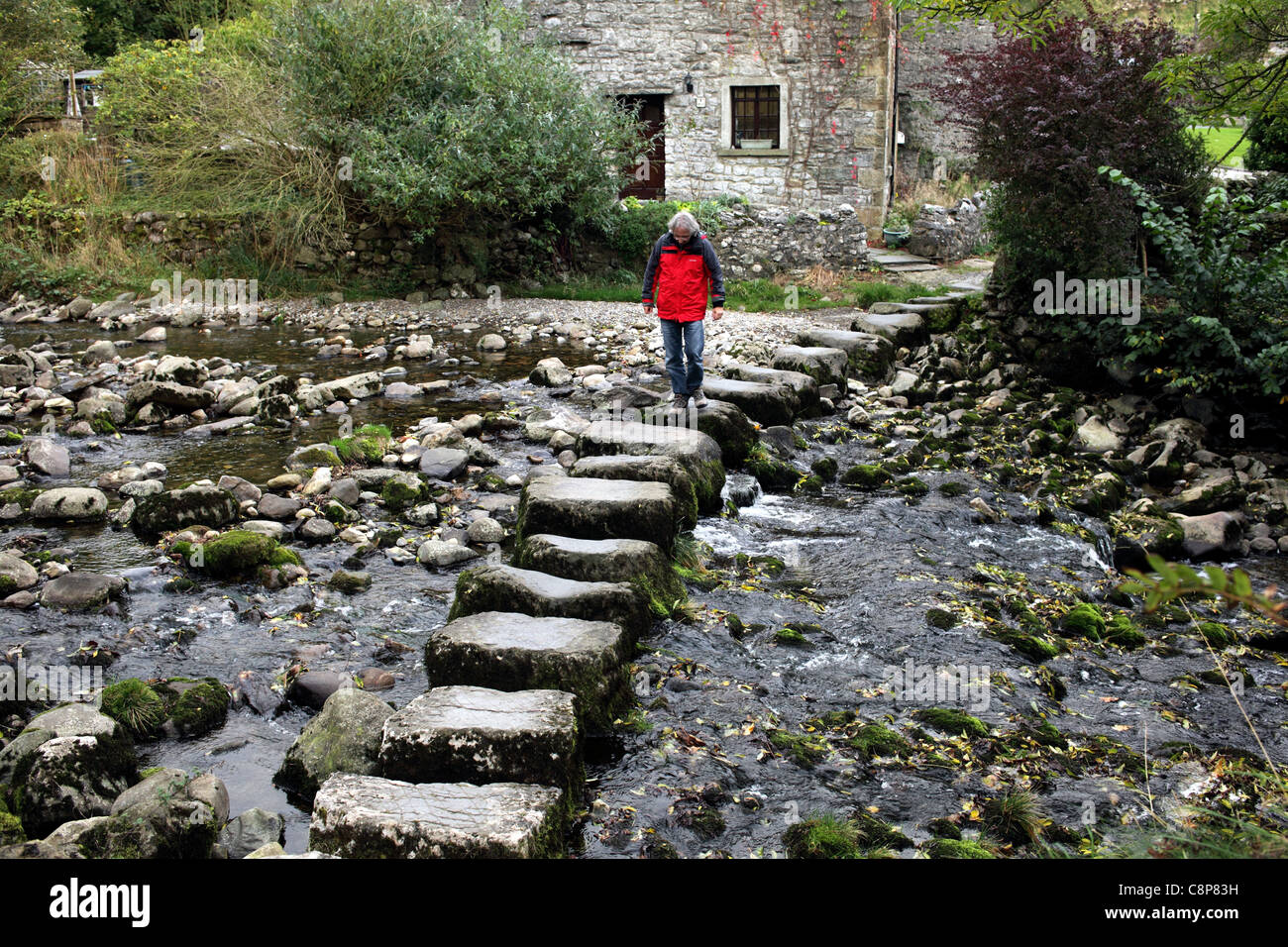 A través de Stepping Stones Stainforth Beck en la aldea de Stainforth, cerca de Settle, North Yorkshire. Foto de stock