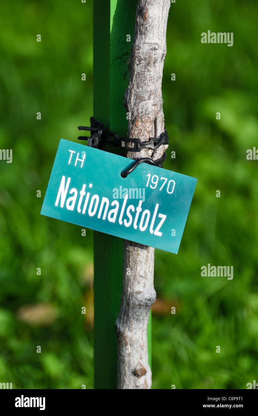 Firmar mostrando 'nationalstolz' que significa 'orgullo nacional' alrededor de un árbol Foto de stock