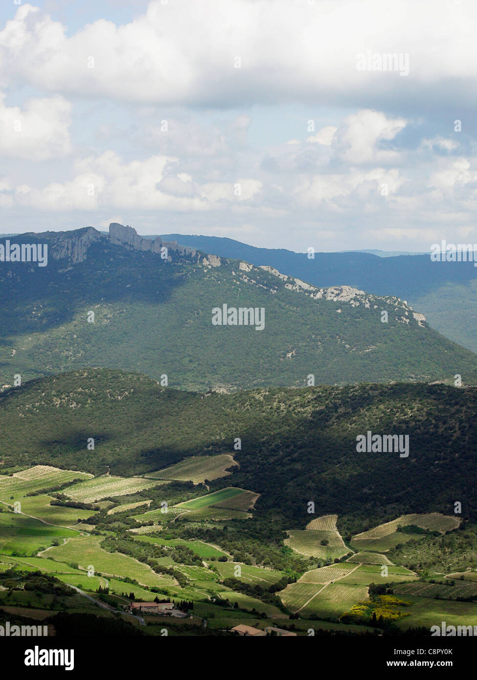 Francia, Languedoc-Roussillon, Aude, vista hacia el castillo de Peyrepertuse, uno de los castillos cátaros Foto de stock