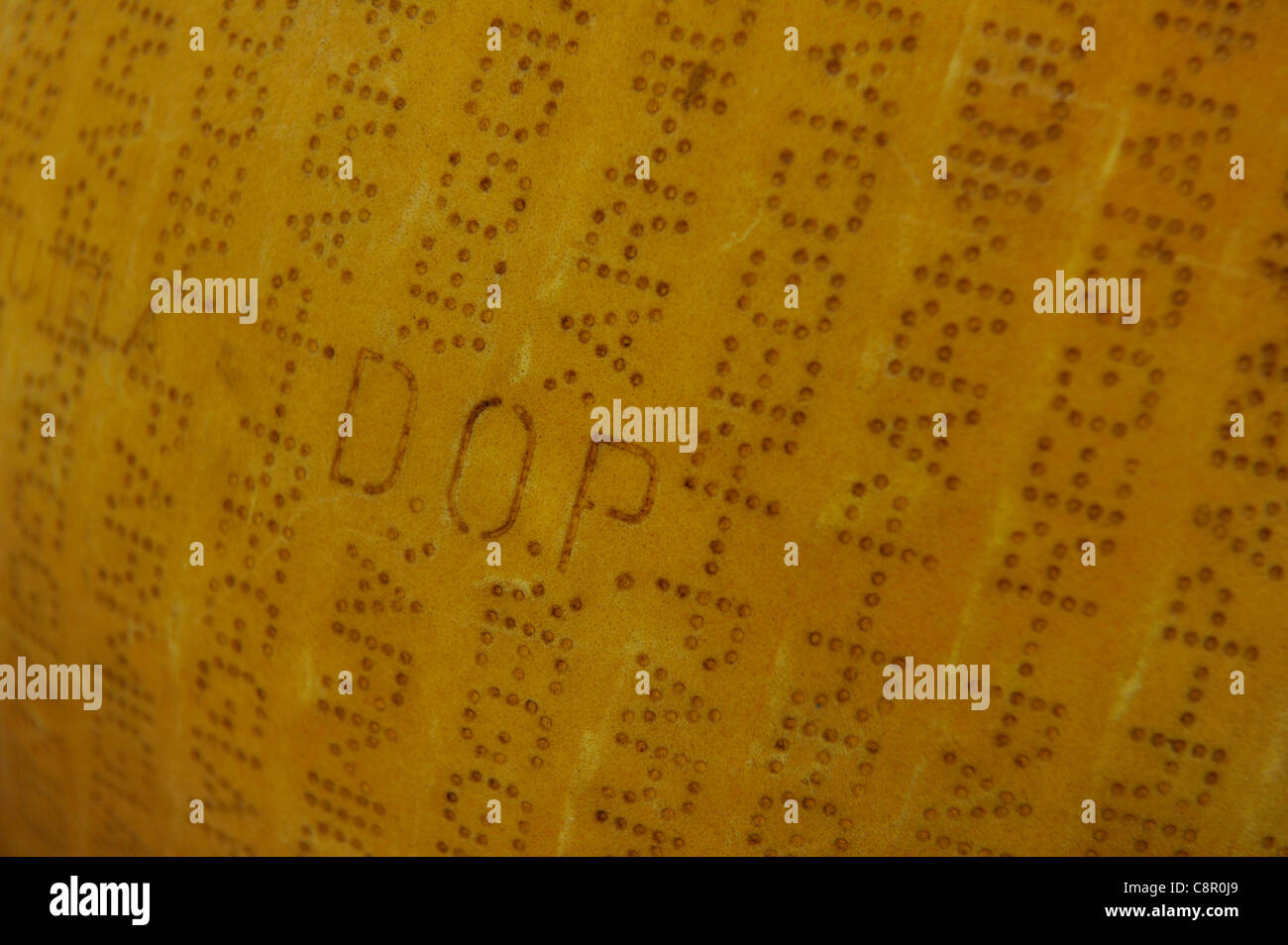 Cerca de la piel exterior de todo un Queso Parmigiano-Reggiano mostrando el distintivo. Foto de stock