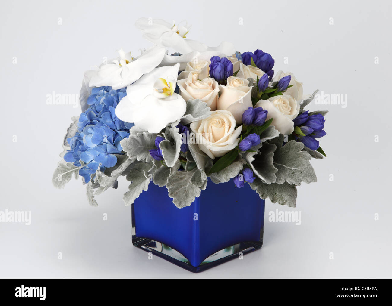 Un primer plano de un colorido ramo de flores en un florero. Crema de rosas, hortensias, azul 1 phalaenopsis blanco, morado desconocido las yemas. Foto de stock
