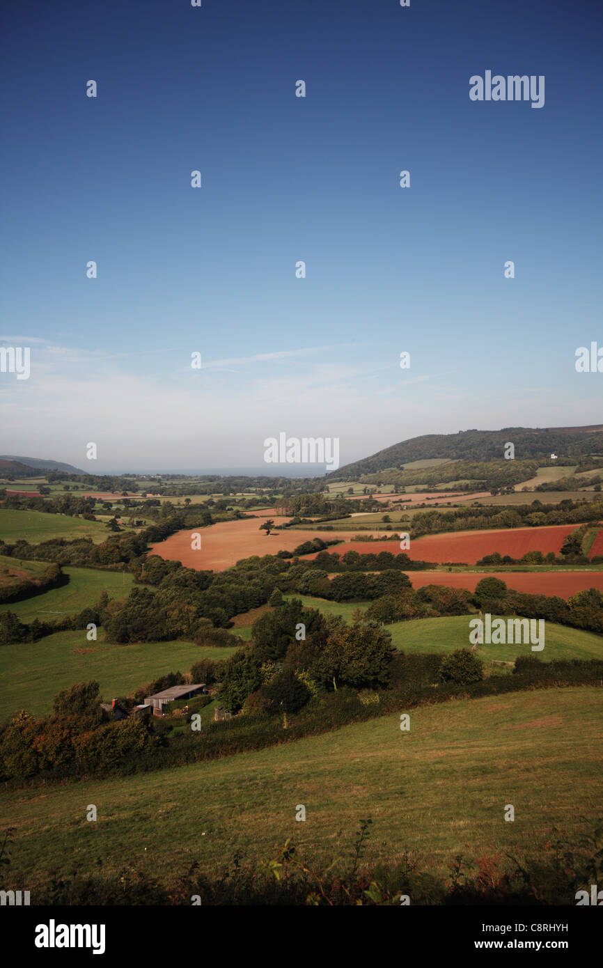 Tierras de cultivo cerca de Minehead, Somerset, Inglaterra mostrando coloración rojiza del suelo debido a la vieja piedra arenisca roja subyacente Foto de stock