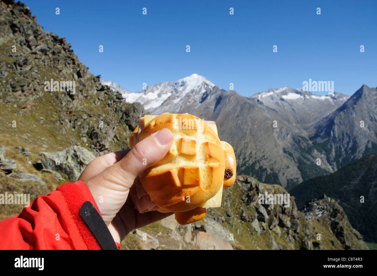 Una mano sujetando un gracioso sandwich con forma de tortuga Foto de stock