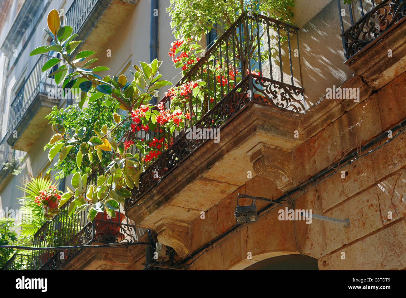 Plantas en macetas en un balcón. Casco Antiguo de Tarragona, en Cataluña, España. Foto de stock