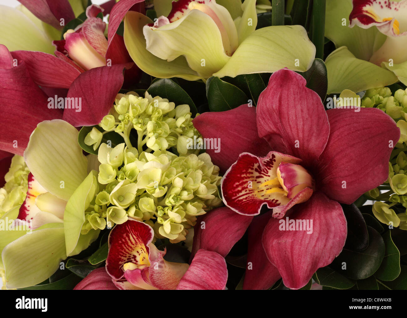 Un primer plano de un ramo de flores coloridas. Calas de rosa, verde y rojo cymbidium orquideas Foto de stock