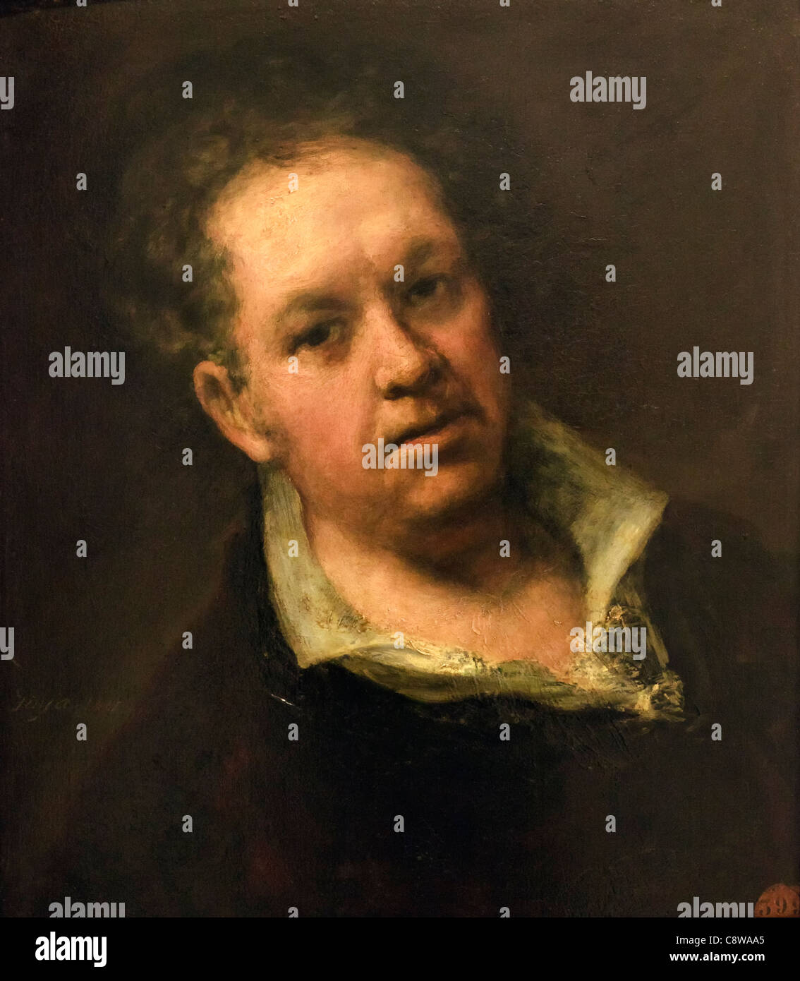 Auto-retrato. Francisco de Goya, con 69 años de edad. Francisco José de Goya y Lucientes, 1746 - 1828. Pintor y grabador español romántico. Foto de stock