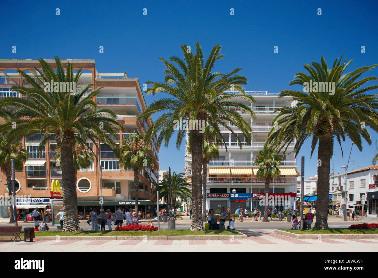 Palmeras que crecen a lo largo de paseo marítimo de Salou. Costa Dorada, en  Cataluña, España Fotografía de stock - Alamy