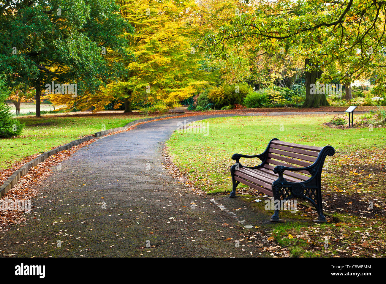 Otoño en Wollaton Park, Nottingham, Nottinghamshire, Inglaterra, Reino Unido. Foto de stock
