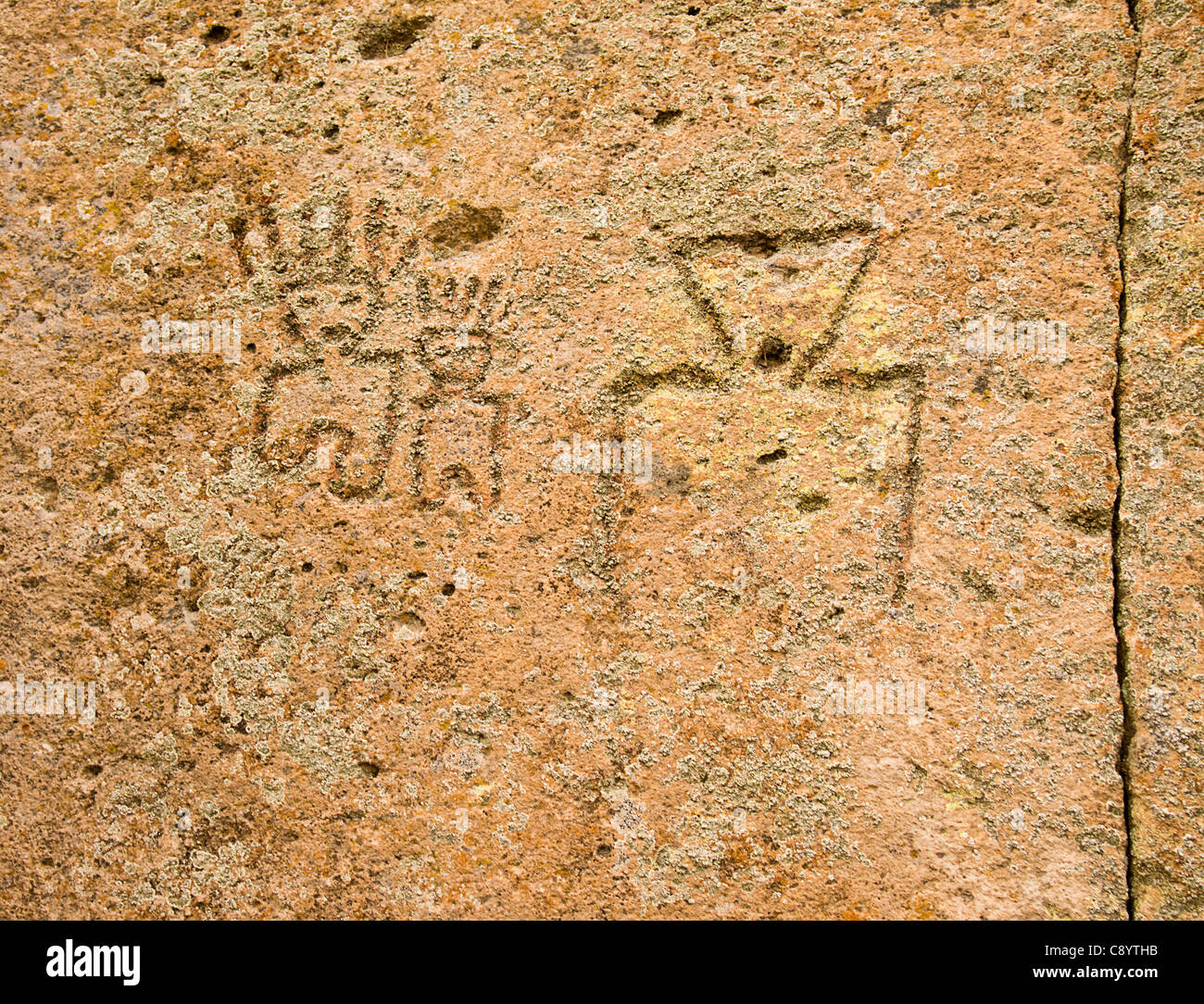 Petroglifos nativos americanos Foto de stock