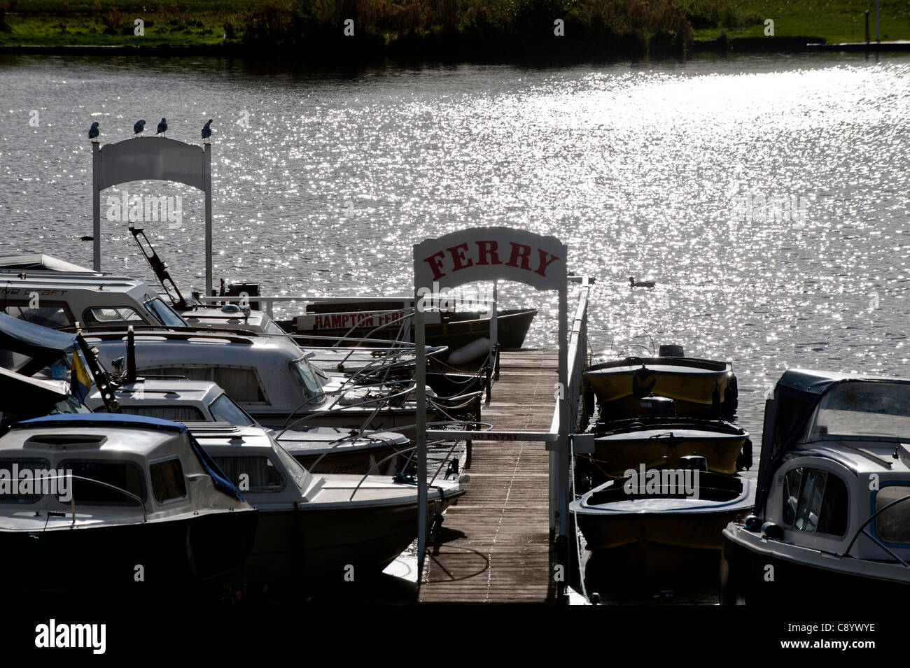 Ocio embarcaciones amarradas en el río Támesis, Hampton, Reino Unido Foto de stock