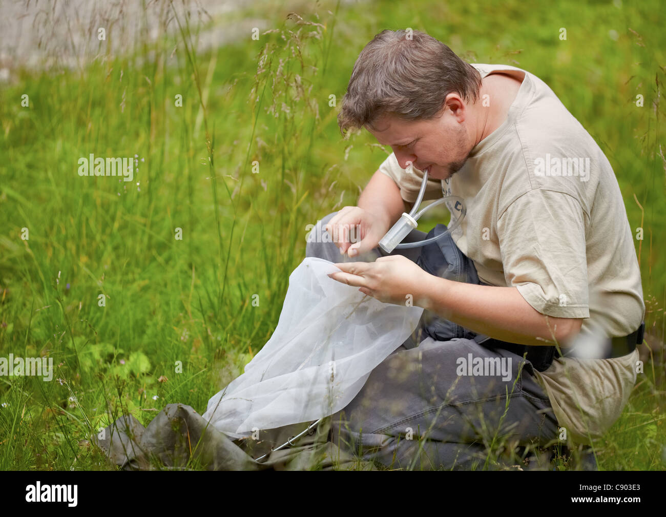 El entomólogo recopilar errores desde la red con un aspirador entomológico en verano. Foto de stock