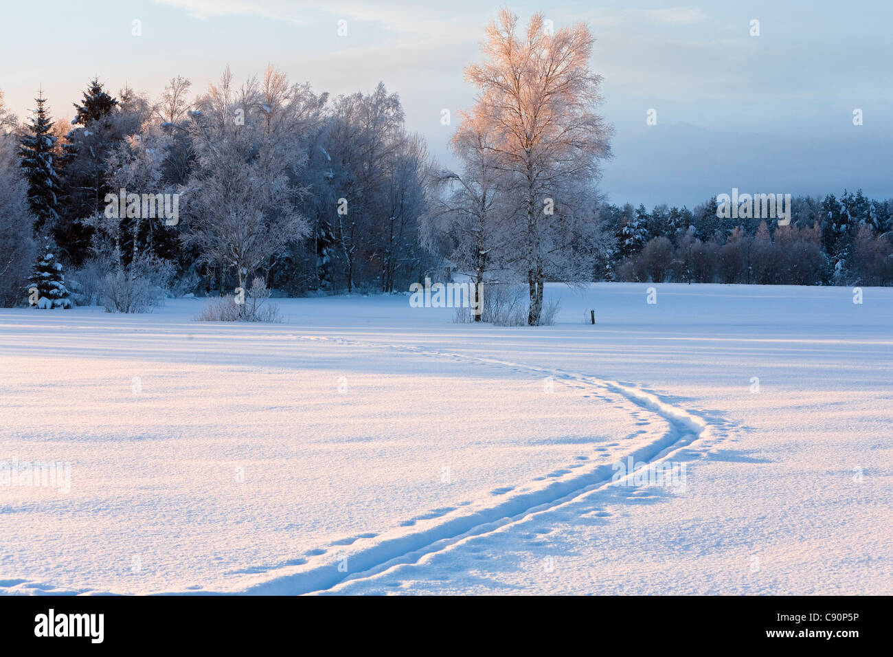Paisaje invernal con pista de esquí de fondo, la Alta Baviera, Baviera, Alemania, Europa Foto de stock
