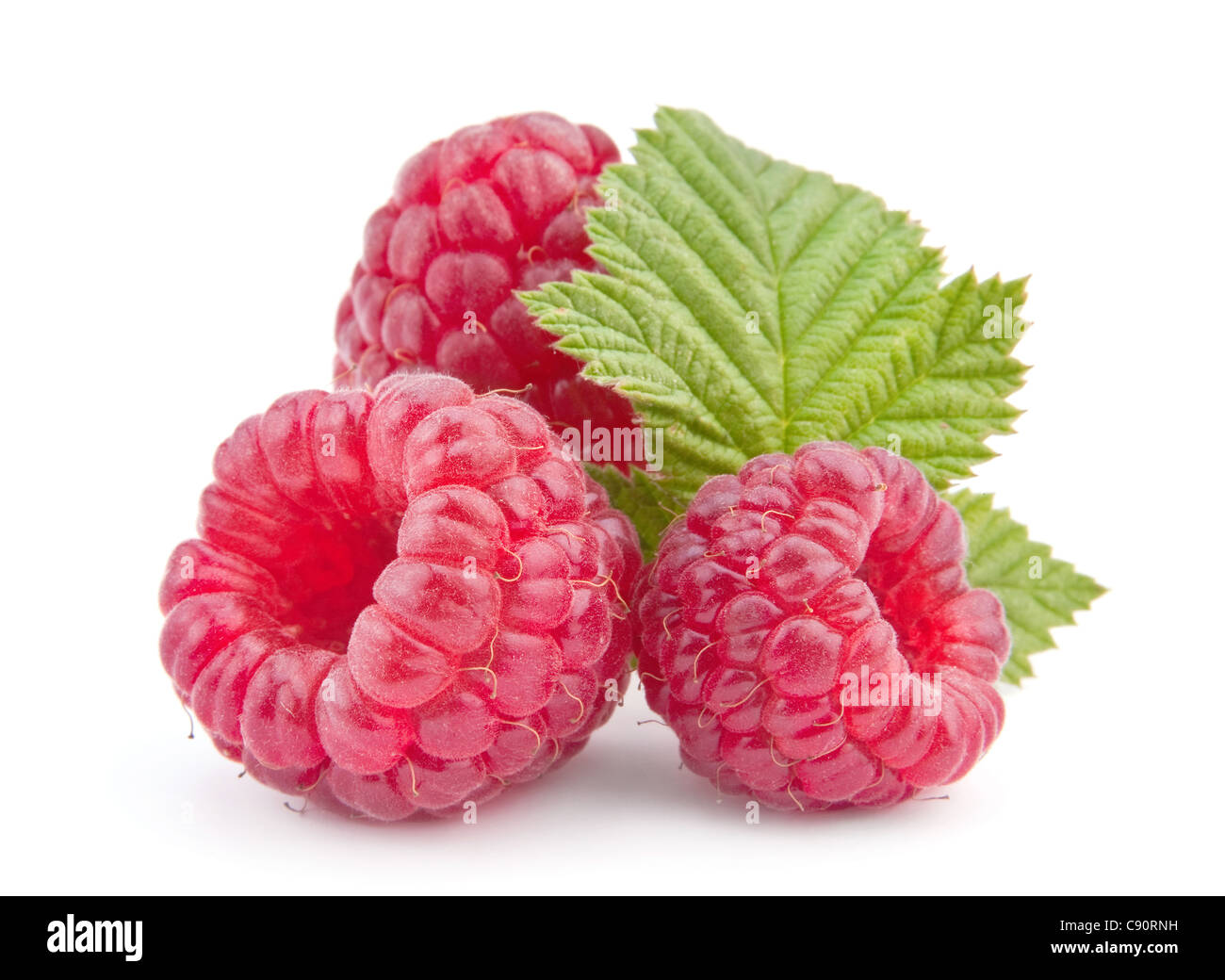 Fruta frambuesa closeup aislado sobre fondo blanco. Foto de stock