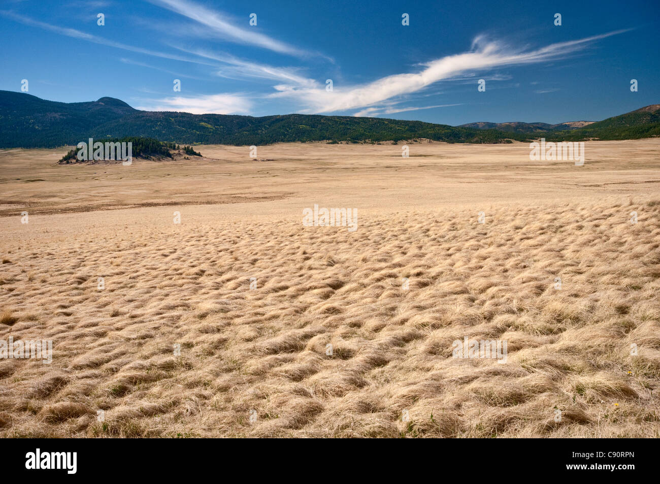 Praderas, valles de Valle Grande Caldera Nat preservar, caldera volcánica en las Montañas Jemez, cerca de Los Alamos, Nuevo México, EE.UU. Foto de stock