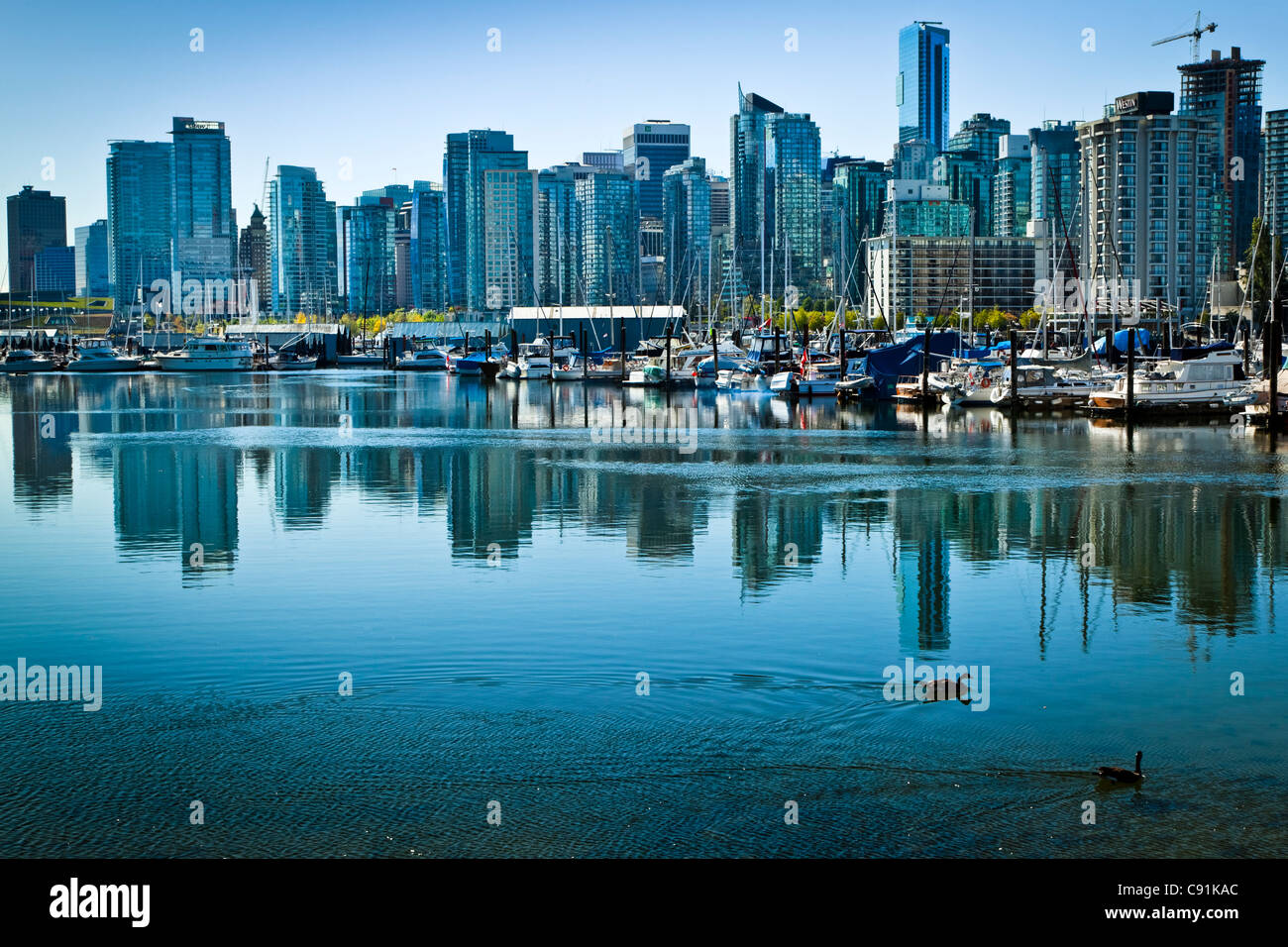 Ciudad de Vancouver como se ve desde el parque Stanley, B.C., Canadá, el muelle Foto de stock