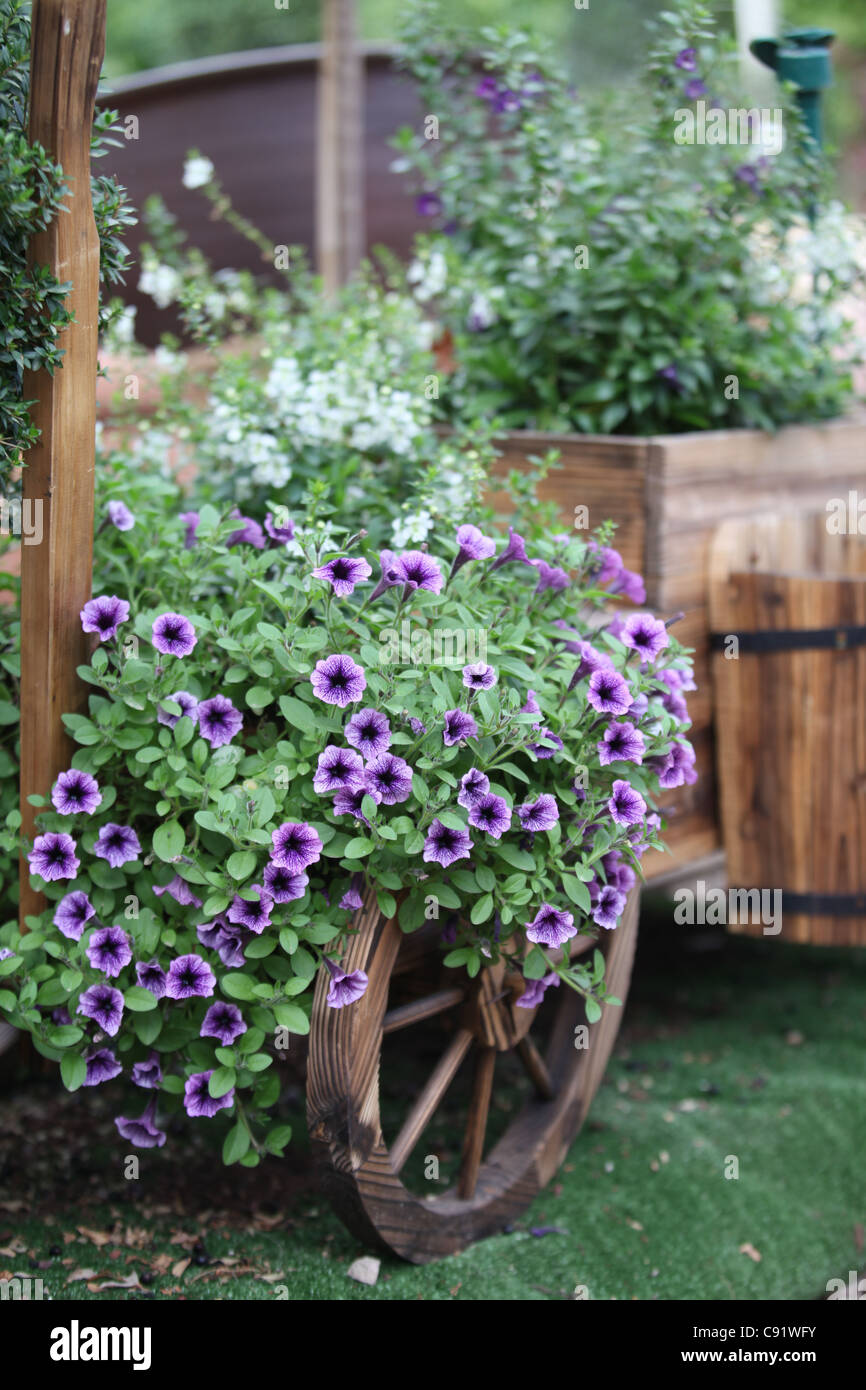 Bush flores en la cesta exterior decorativa Foto de stock