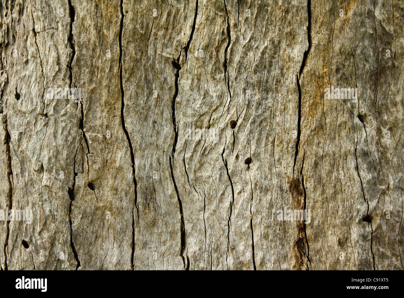 Textura de madera envejecida. Foto de stock