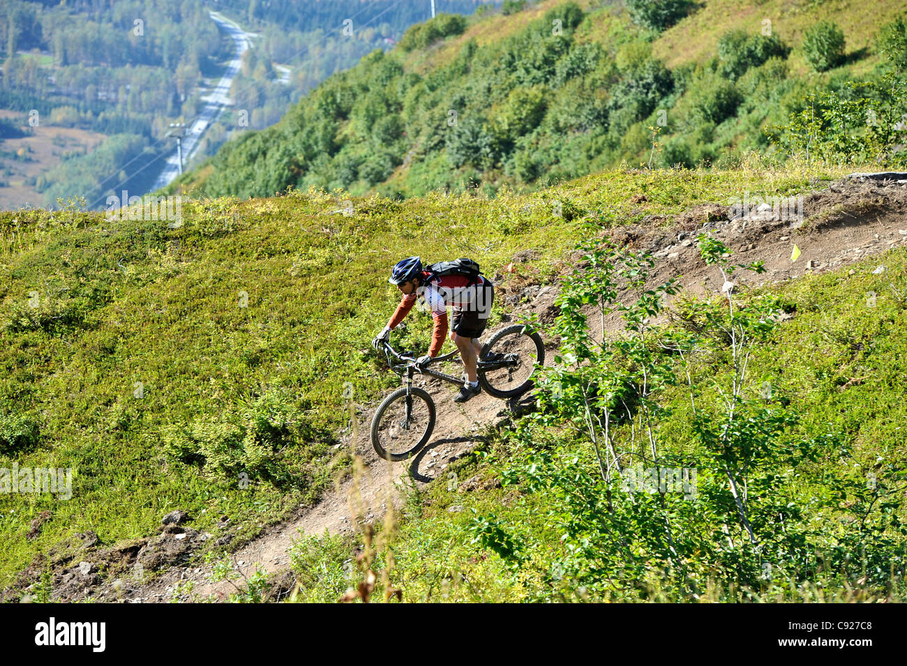 Ciclista de montaña femenino disfruta de un día de servicio de tranvía mountain bike en Alyeska Resort en Girdwood, Southcentral Alaska, Otoño Foto de stock