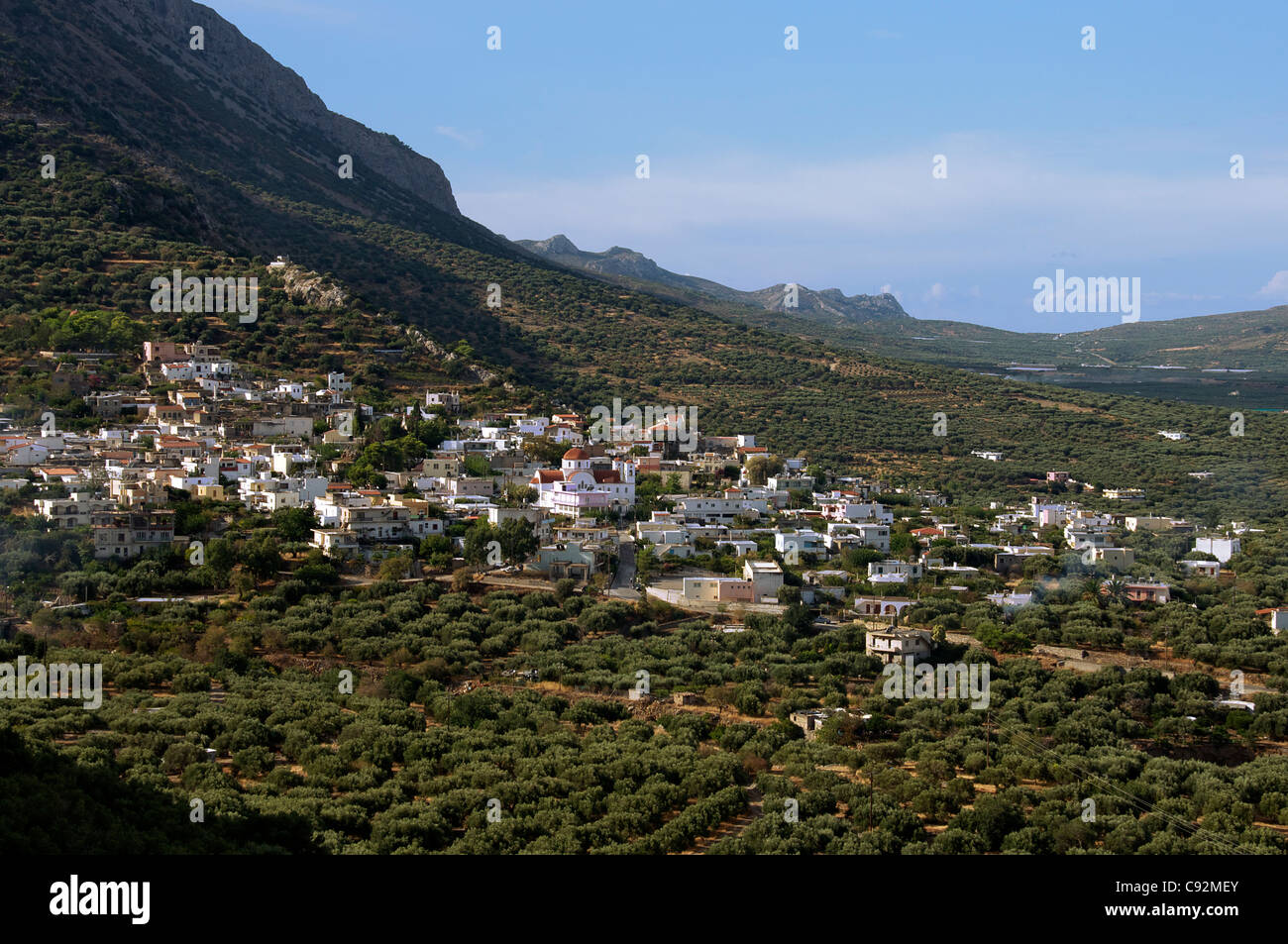 Aldea Kavousi entre olivares noreste de Creta Grecia Foto de stock