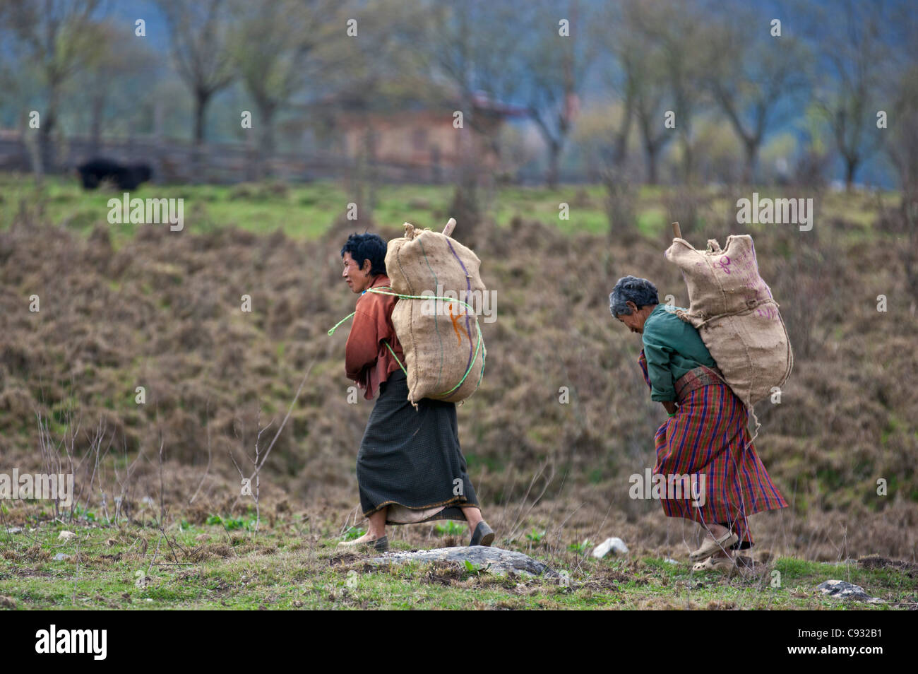 Las mujeres vuelven a casa cargados de producir después de trabajar en sus campos en el fértil valle de Phobjikha. Foto de stock