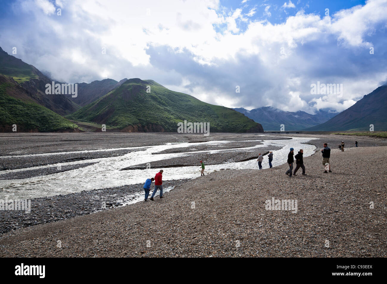 Los turistas ver Toklat River, un río trenzadas, en el Parque Nacional Denali en Alaska Foto de stock
