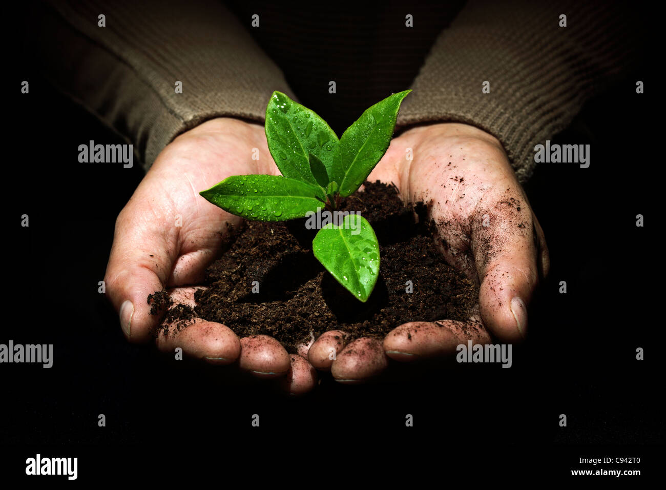 Teniendo cuidado de nuevo desarrollo Foto de stock