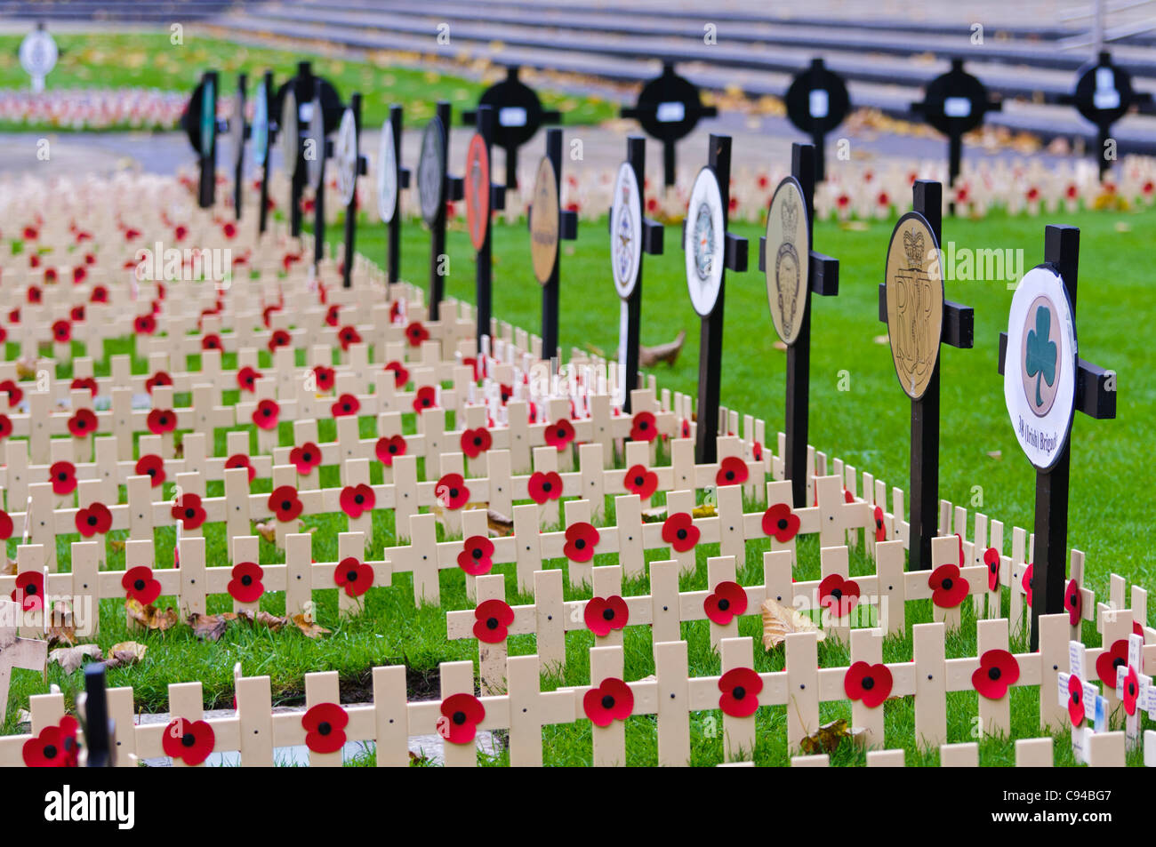 Cruces de madera con amapolas en recuerdo de los hombres y mujeres de las fuerzas armadas muertos en acción. Foto de stock