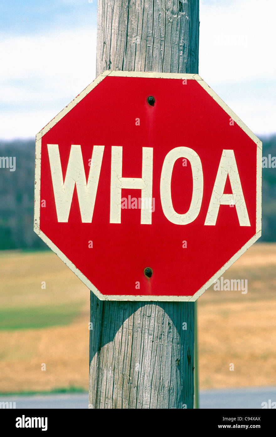 Calle signo (señal de Stop) lee 'Whoa' Foto de stock