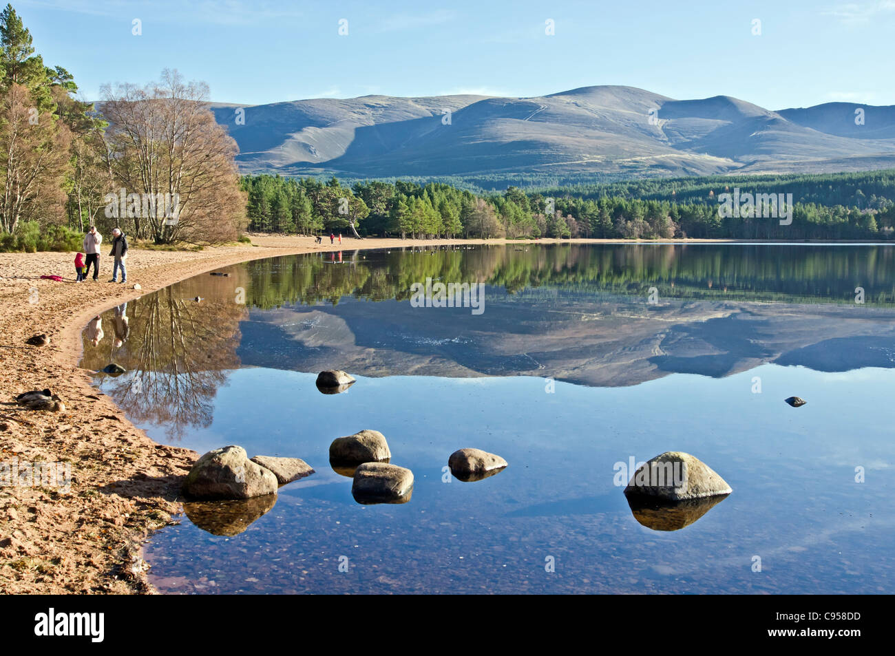 Loch Morlich en los Cairngorms región de Escocia en un tranquilo y soleado día de otoño con la montaña Cairn Gorm center Foto de stock
