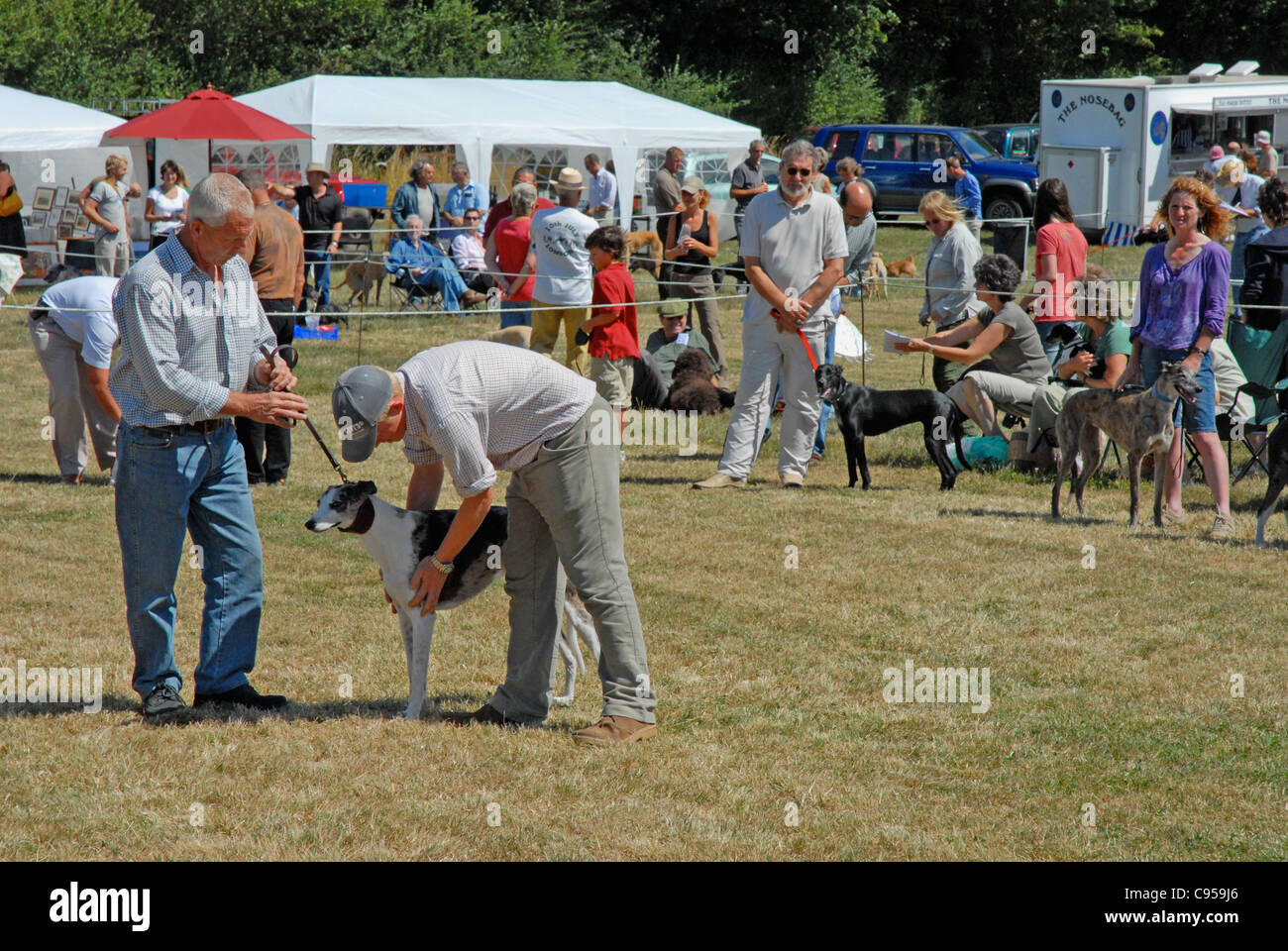 Un país dog show sólo para uso editorial. Celebró en bolas Cruz en Sussex. Foto de stock