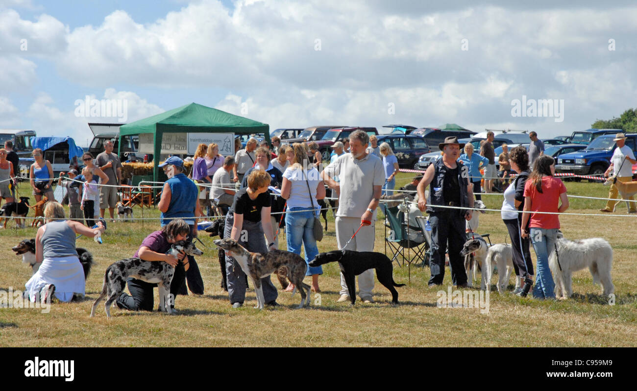 Un país dog show sólo para uso editorial. Celebró en bolas Cruz en Sussex. Foto de stock