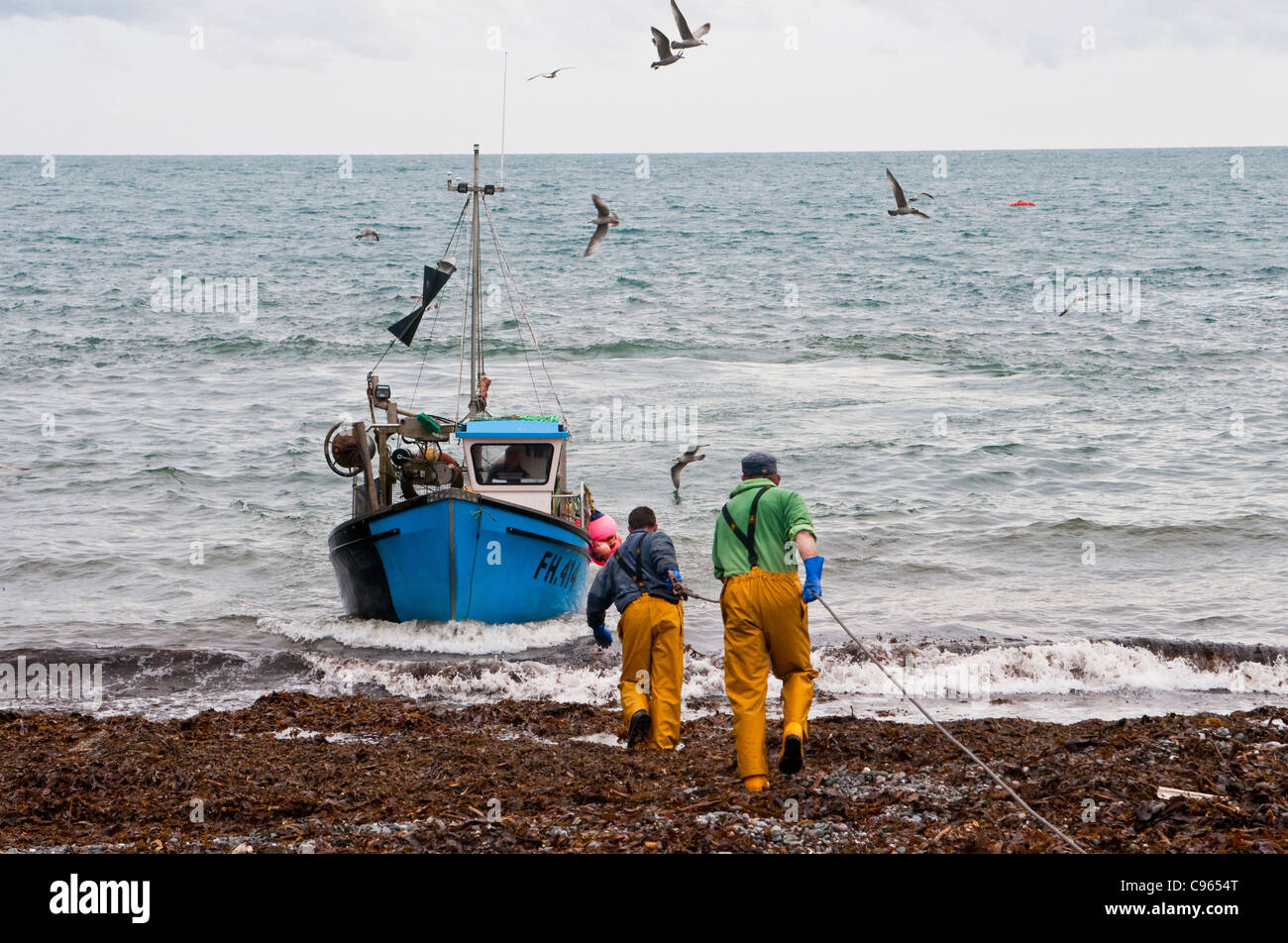 Pescadores en Cadgwith Cornwall ayudando a traer una pesca de cangrejo barco Foto de stock